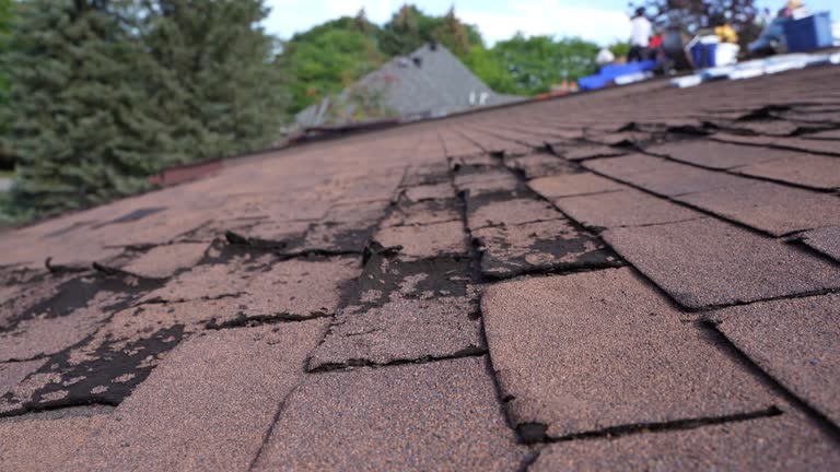 Best Roof Insulation Installation  in Wading River, NY